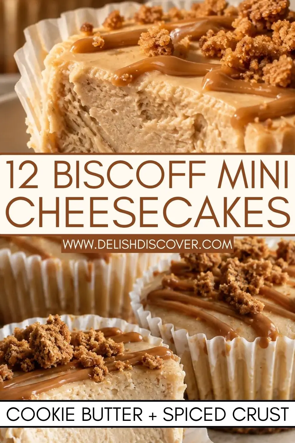 Individual Biscoff mini cheesecakes with creamy filling, cookie butter topping, and a spiced crumb crust.