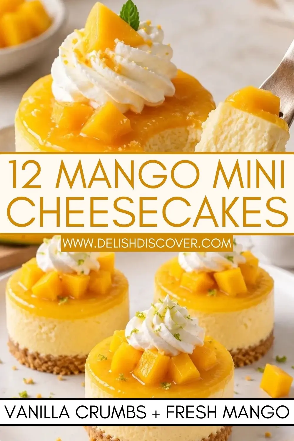 Twelve mini mango cheesecakes with vanilla crumb bases, creamy mango filling, and fresh diced mango on top.