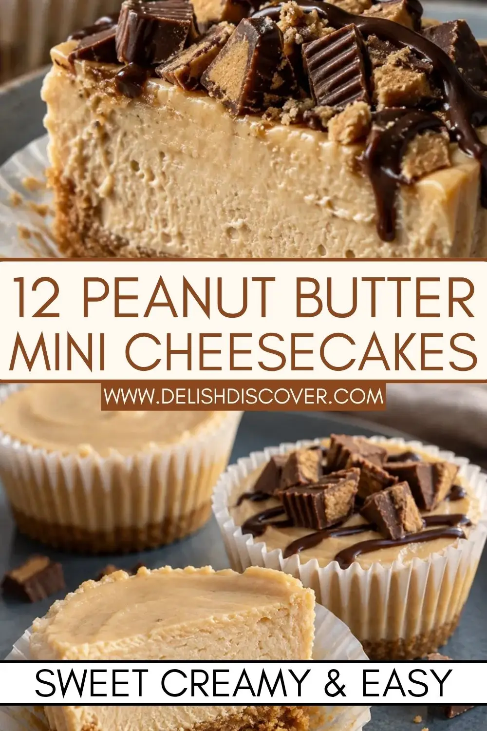 Twelve peanut butter mini cheesecakes with creamy centers, crumb crusts, and chocolate peanut butter candy pieces on top.