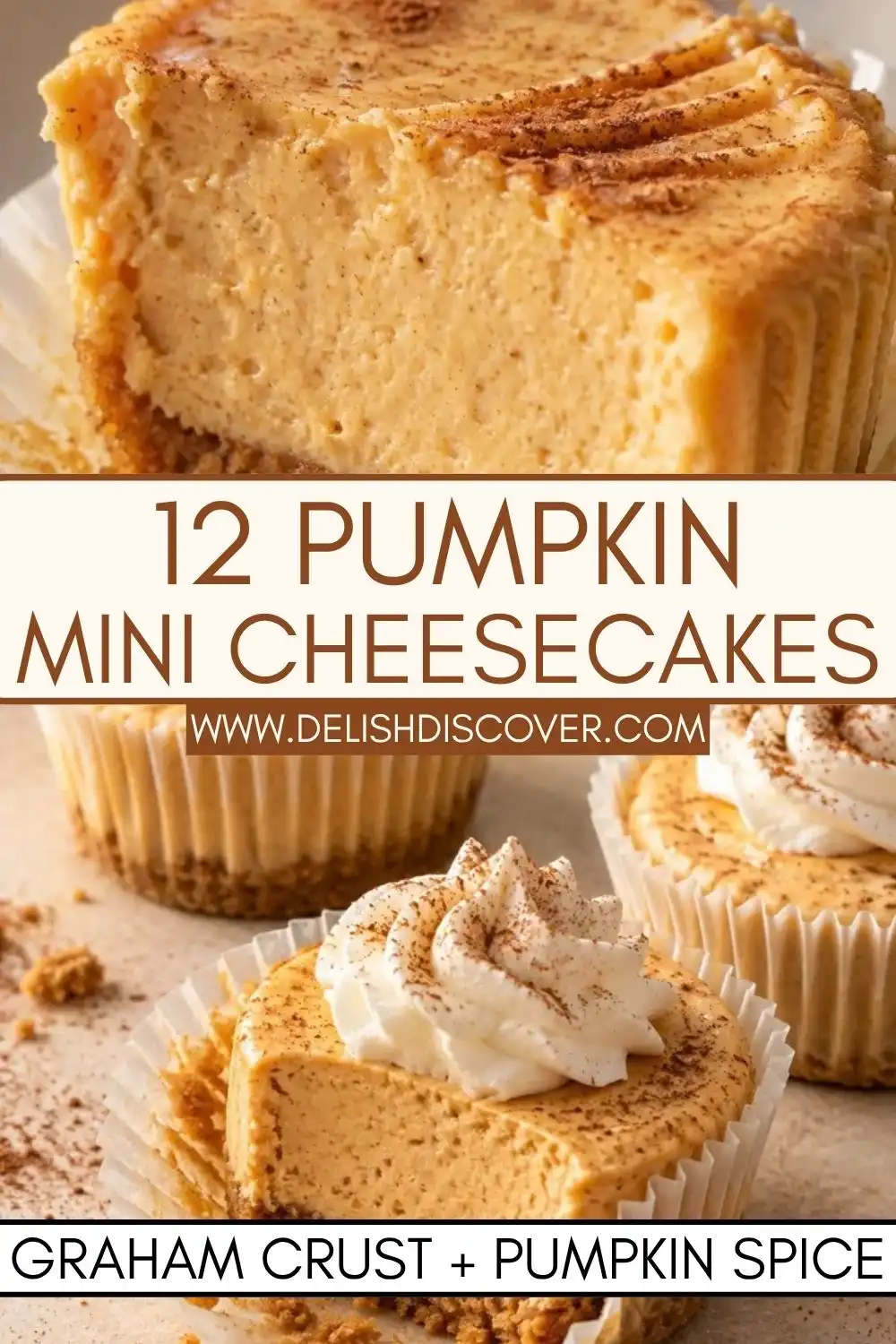 Twelve pumpkin mini cheesecakes with graham crusts, creamy pumpkin centers, whipped topping, and a dusting of spice.