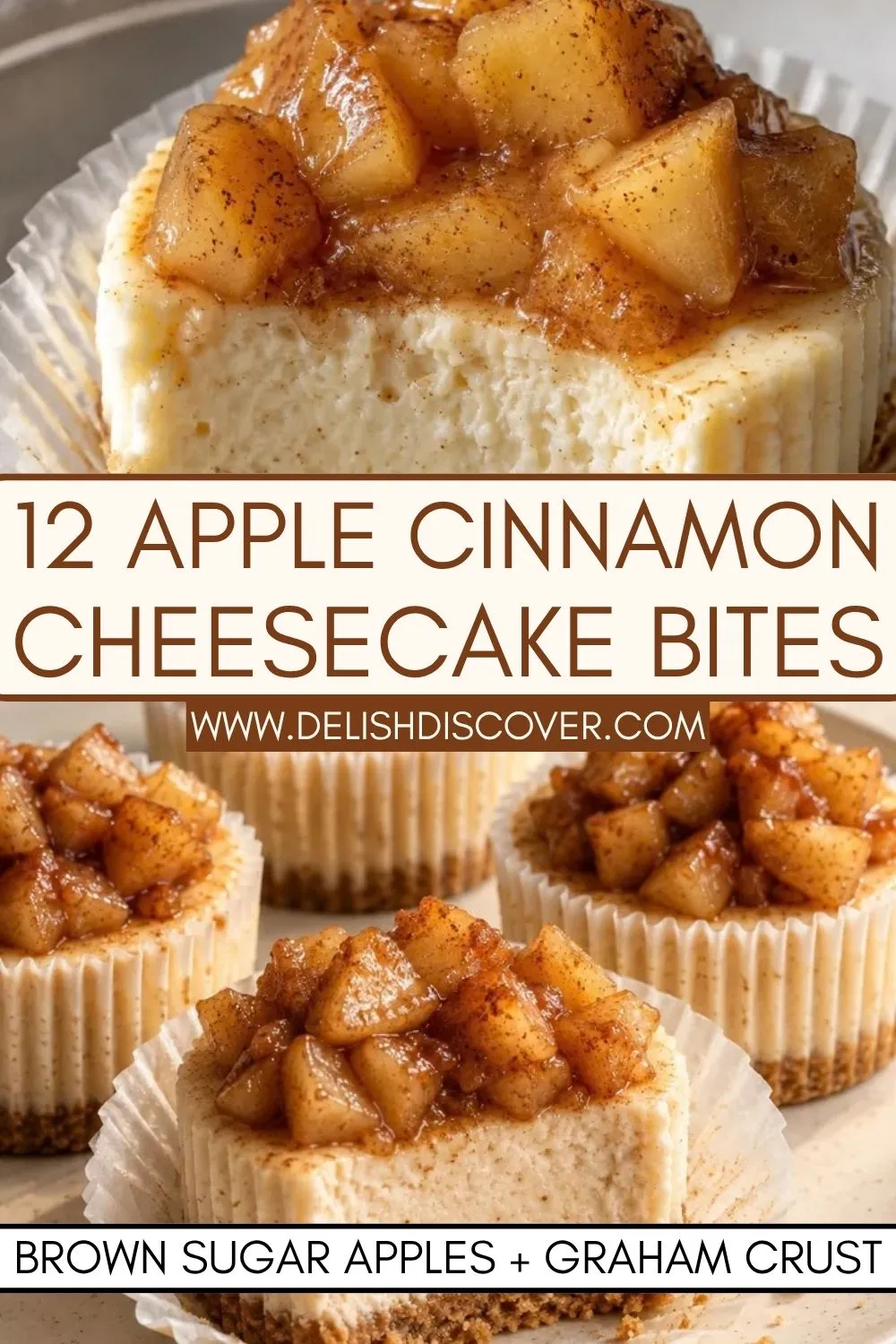 Close-up of apple cheesecake bites topped with brown sugar cinnamon apples over creamy cheesecake and a golden crumb crust.