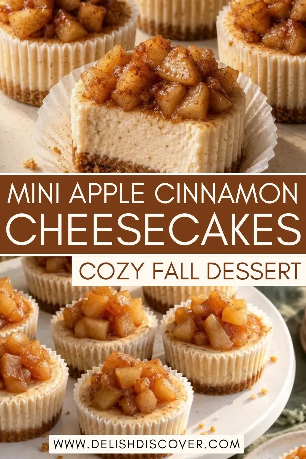 Apple cinnamon mini cheesecakes with creamy centers, graham-style crumb bases, and warm diced apple topping on a serving plate.