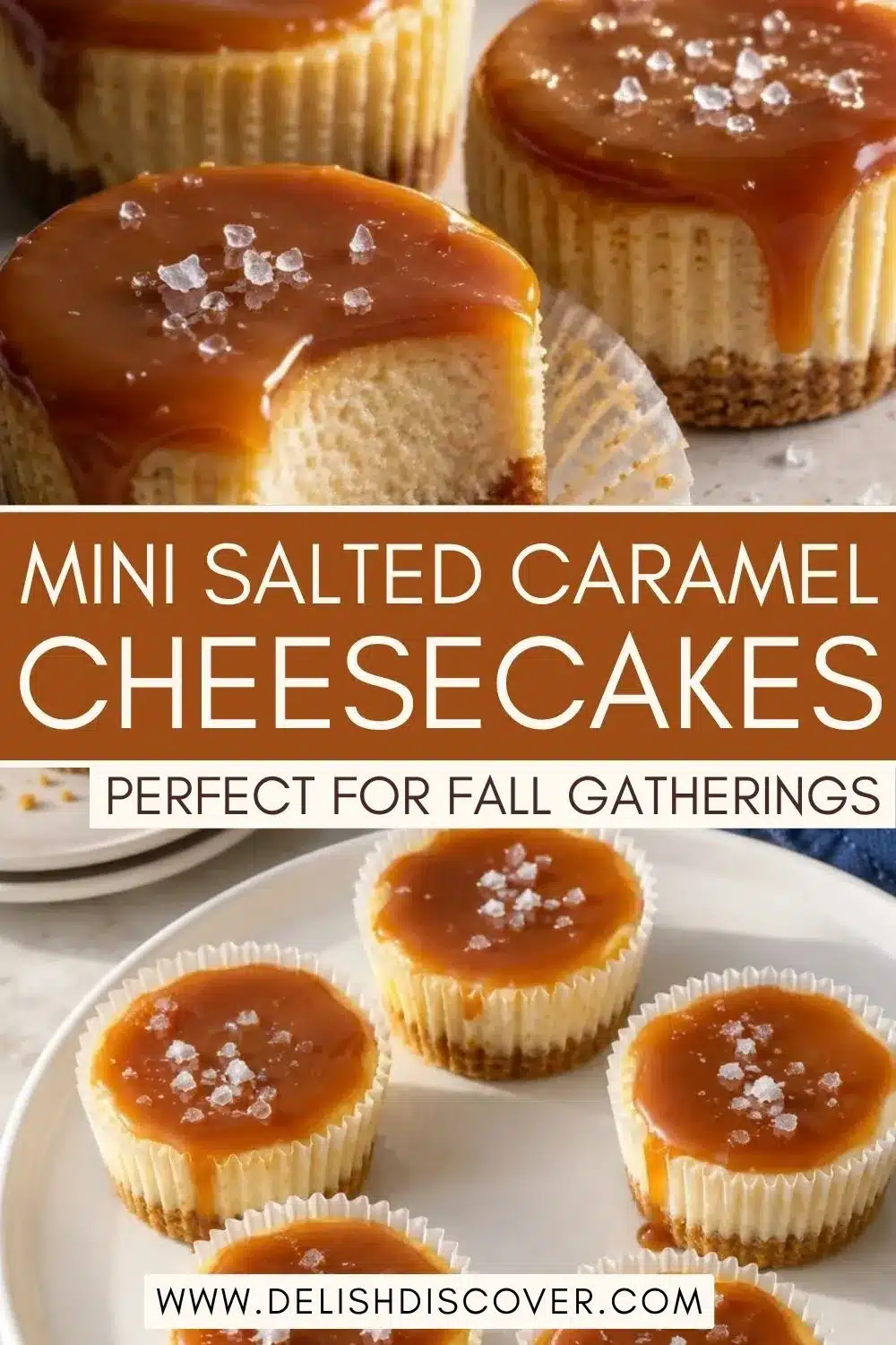 Mini salted caramel cheesecakes with smooth caramel topping and flaky sea salt arranged on a white serving plate for a fall gathering.