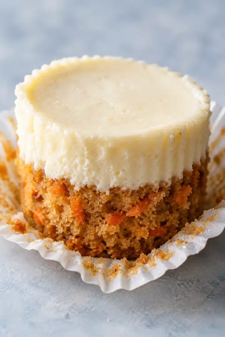 Close cutaway showing tender orange carrot cake under smooth vanilla cheesecake