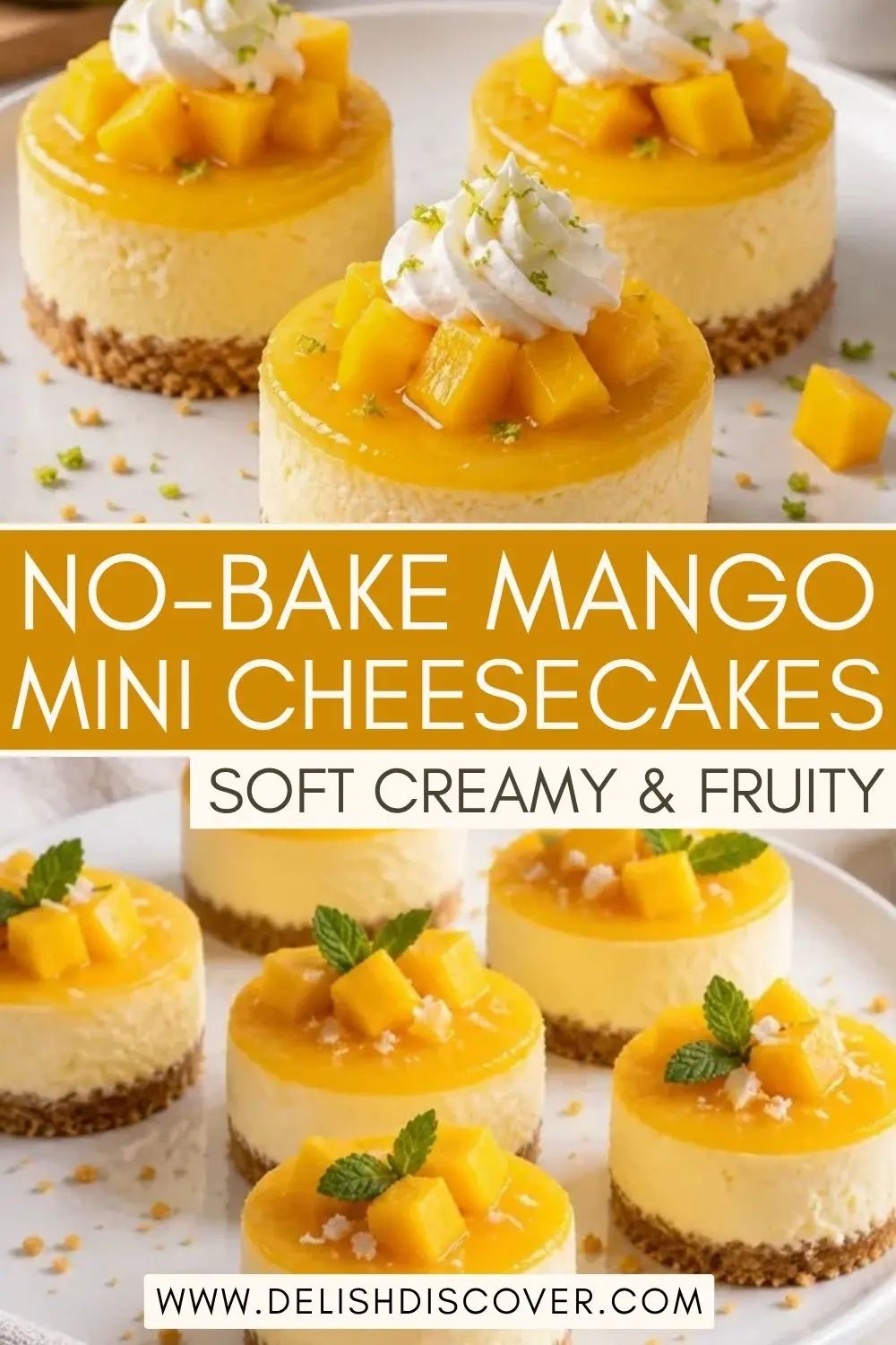 No-bake mango mini cheesecakes topped with diced mango and whipped cream, with creamy filling and a crumb base.