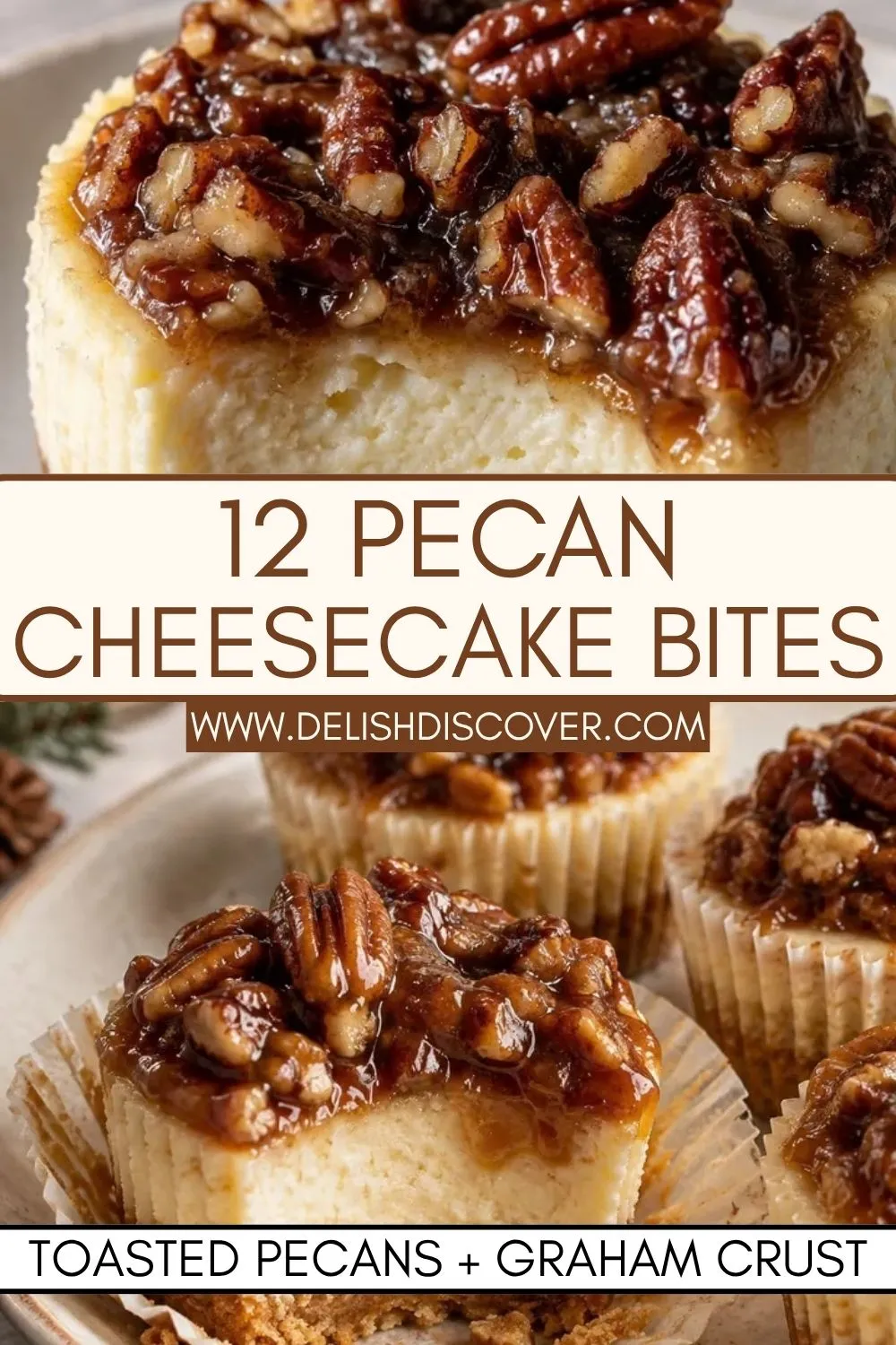 Close-up of pecan cheesecake bites with creamy vanilla centers, golden graham crusts, and glossy toasted pecans on top.