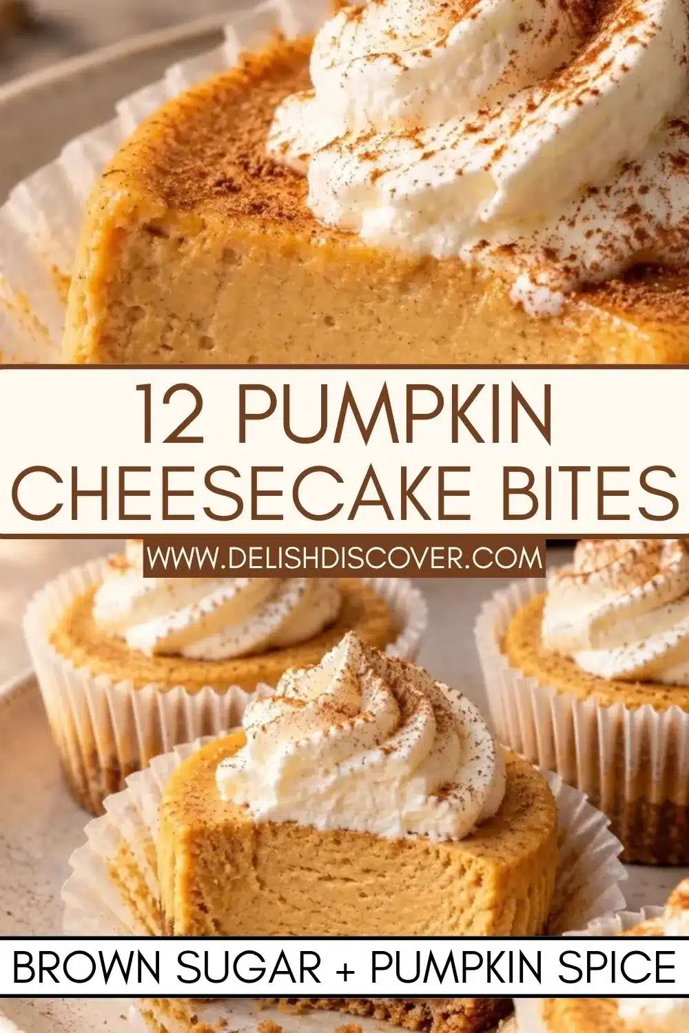 Close-up of pumpkin cheesecake bites with smooth spiced pumpkin filling, whipped cream, cinnamon, and golden graham cracker crusts.