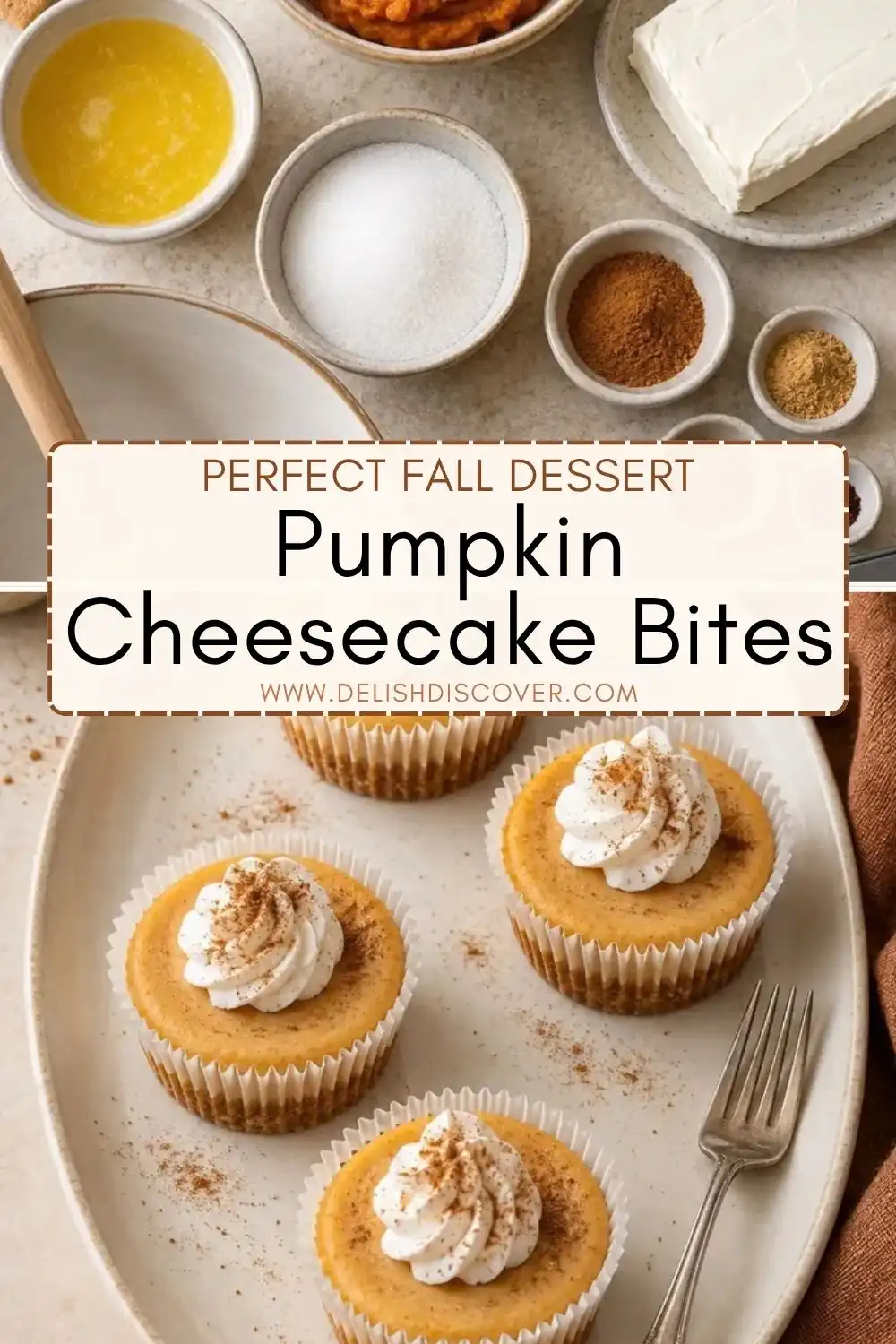 Pumpkin cheesecake bites topped with whipped cream and pumpkin spice, served on a platter with pumpkin and cheesecake ingredients nearby.