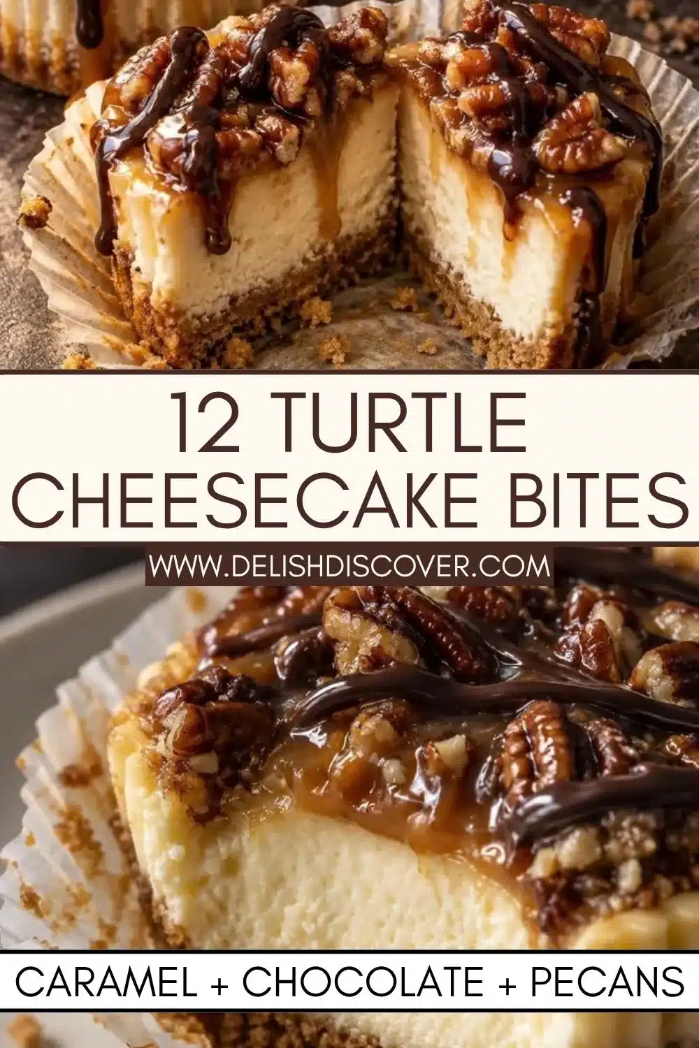 Close-up of turtle cheesecake bites with creamy filling, graham crust, caramel topping, toasted pecans, and chocolate drizzle.