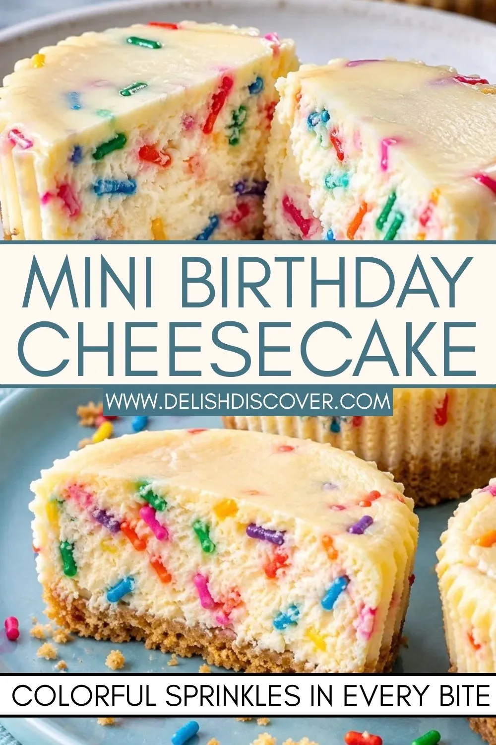 Cut-open mini vanilla cheesecake showing colorful rainbow sprinkles throughout the creamy center above a thin golden cookie crust.