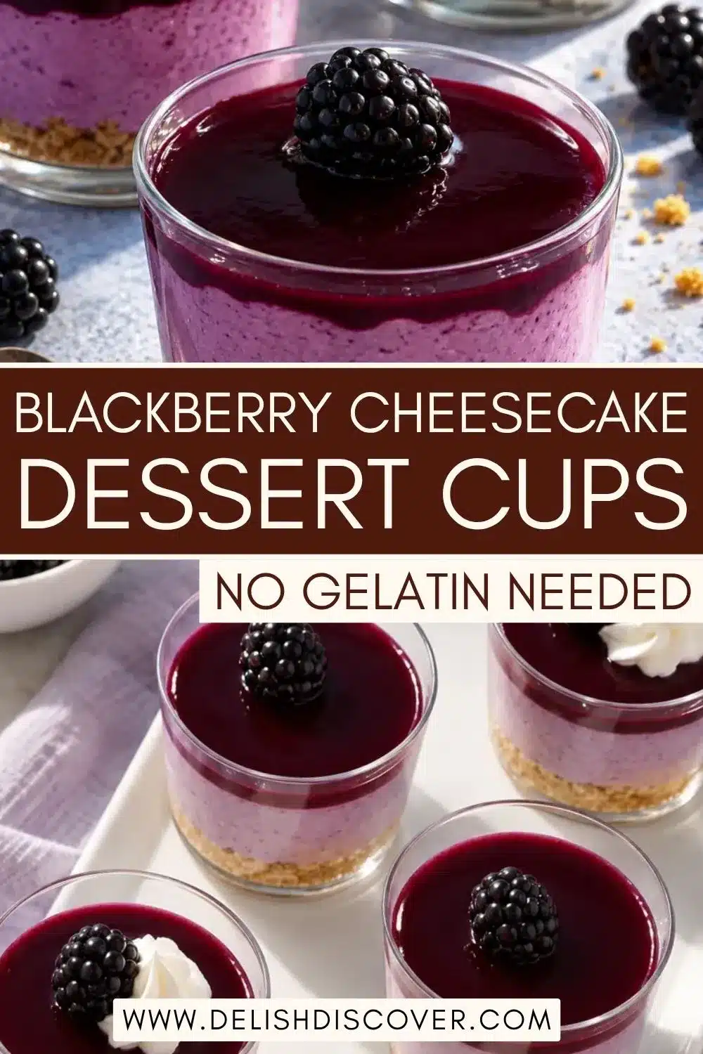 Close-up of individual blackberry cheesecake cups with three visible layers: a golden crumb base, light purple cream cheese filling, and deep purple blackberry topping with whole blackberries.