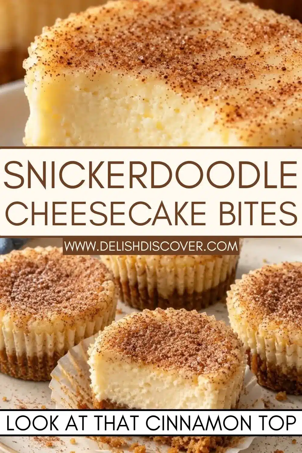 Several mini cheesecakes with lightly speckled cinnamon-sugar tops and brown cookie crusts, including one cut open to show the creamy filling.