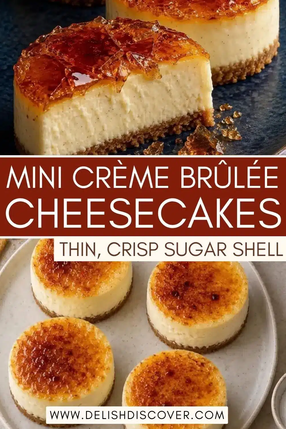 Several round vanilla cheesecakes with evenly caramelized golden tops, plus a close-up cut cake showing the creamy filling and crumb crust.