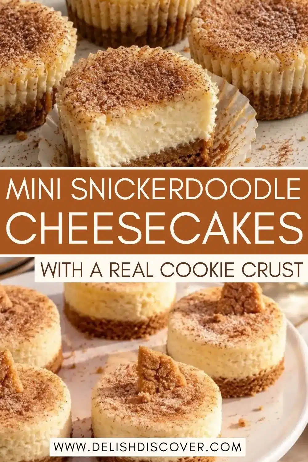 A group of small vanilla cheesecakes with cinnamon-sugar tops, brown cookie bases, and crisp snickerdoodle pieces added as garnish.